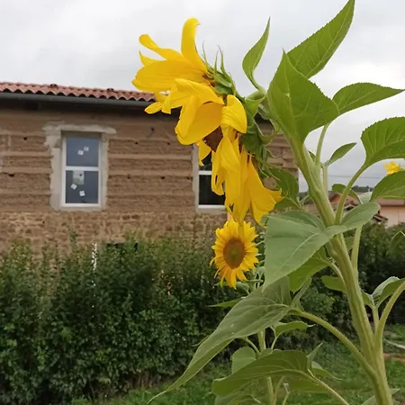 Bed and Breakfast La Provende 3*