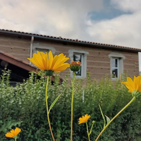 La Provende