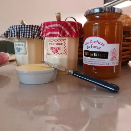 Bed and Breakfast La Provende Bard (Loire)